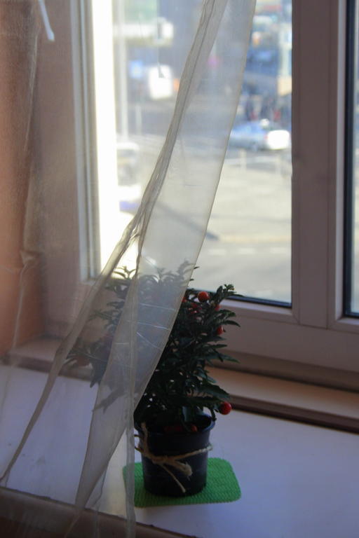 Baltic Hostel Riga Ngoại thất bức ảnh